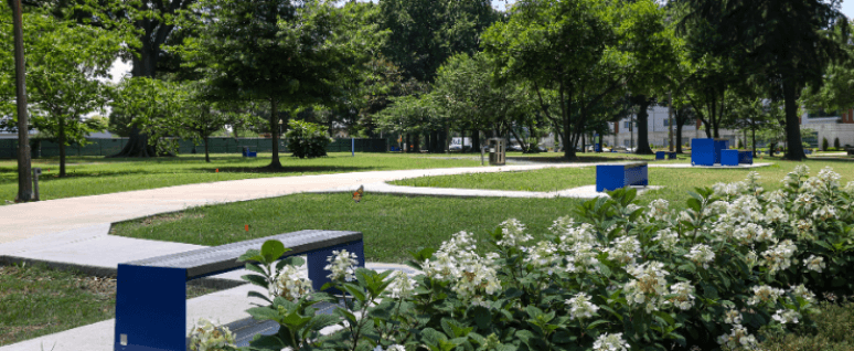 Cover image for Medical District Park